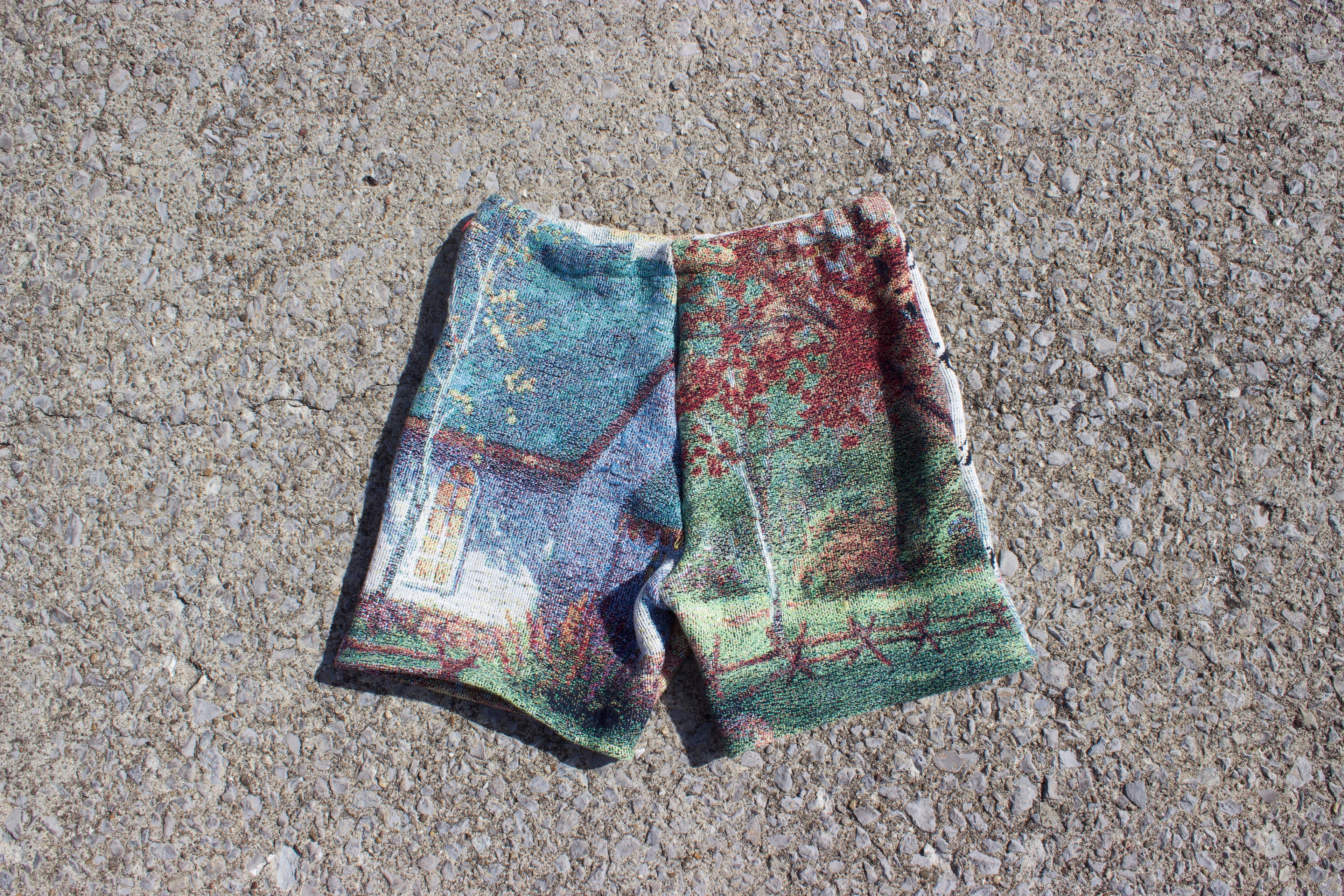Tapestry Shorts